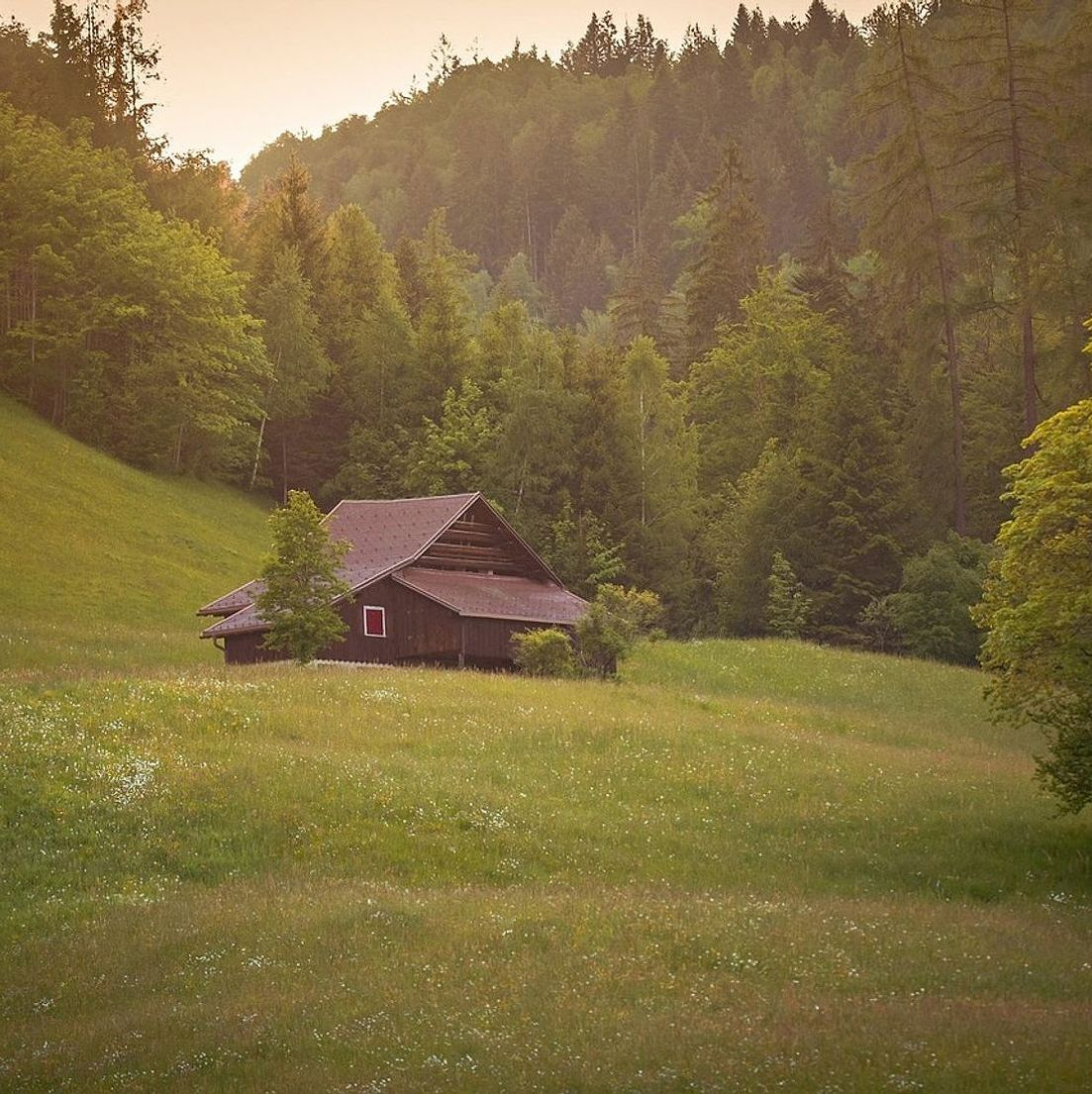 Camp before dark